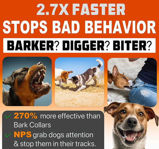 SilentGuard™ Ultrasonic Dog Trainer